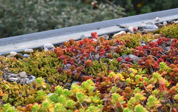 the cost of St Davids green roof installation