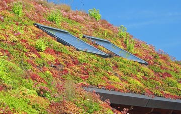 St Davids living roof systems
