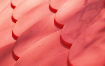 St Davids plastic roof costs