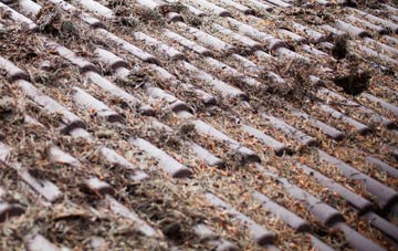 St Davids roof cleaning companies