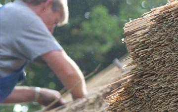 professional St Davids thatchers