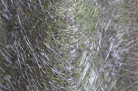 St Davids fibreglass roof work